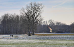 Spaziergang im leicht verschneiten Mindeltal bei Mindelzell. (14.1.24).