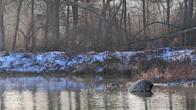 Der besondere Stein -  in einem Weiher im Mindeltal am 12.1.2024 bei 5 Grad minus.