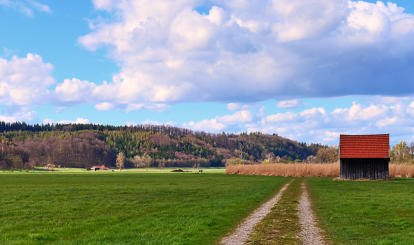 Zarte Frühlingsfarben im Mindeltal - westlich von Thannhausen.